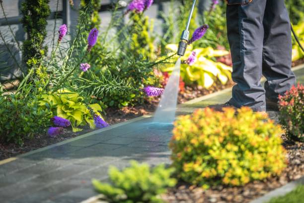 Best Sidewalk and Walkway Cleaning  in Union Point, GA